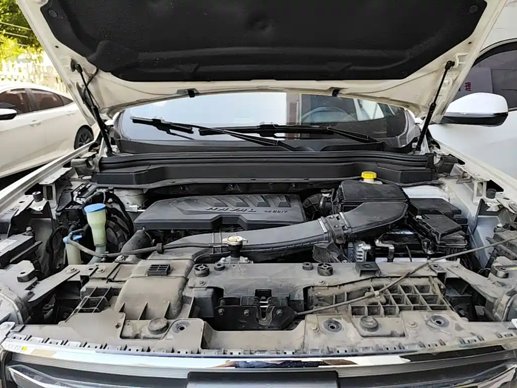Фото 20 - Haval H6