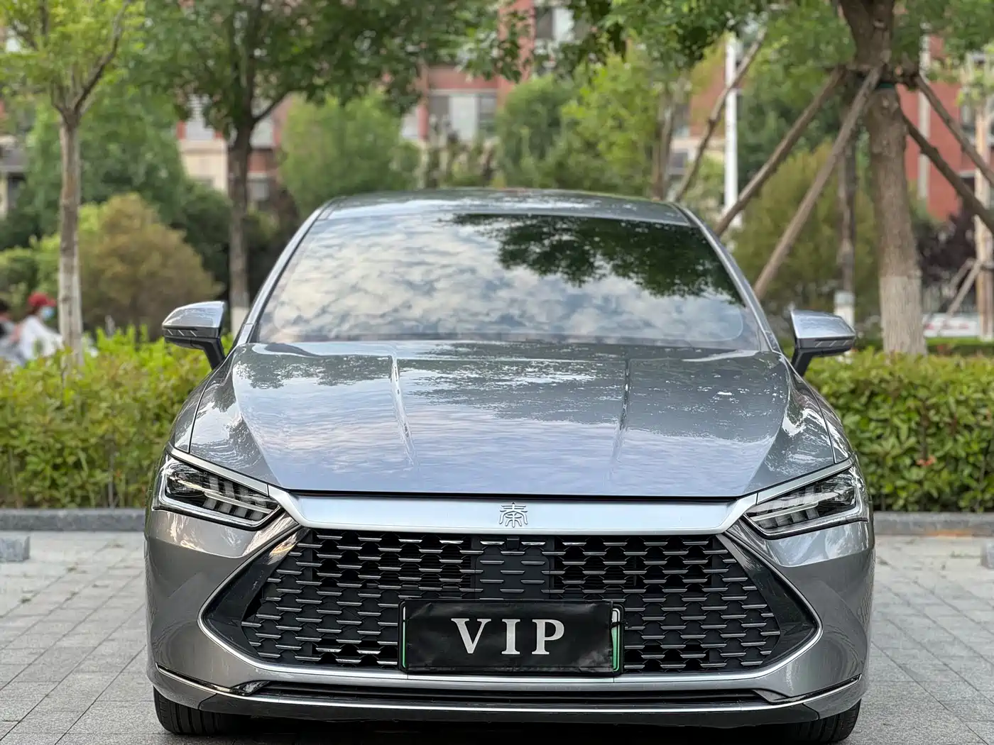 BYD Qin PLUS 2024 Glory Edition DM-i 55KM Leading фото 2