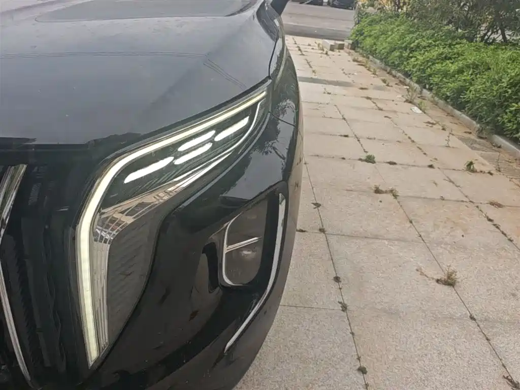 Hongqi HS7 PHEV 2024 2.0T PHEV AWD Qichang Edition 7-seater фото 24