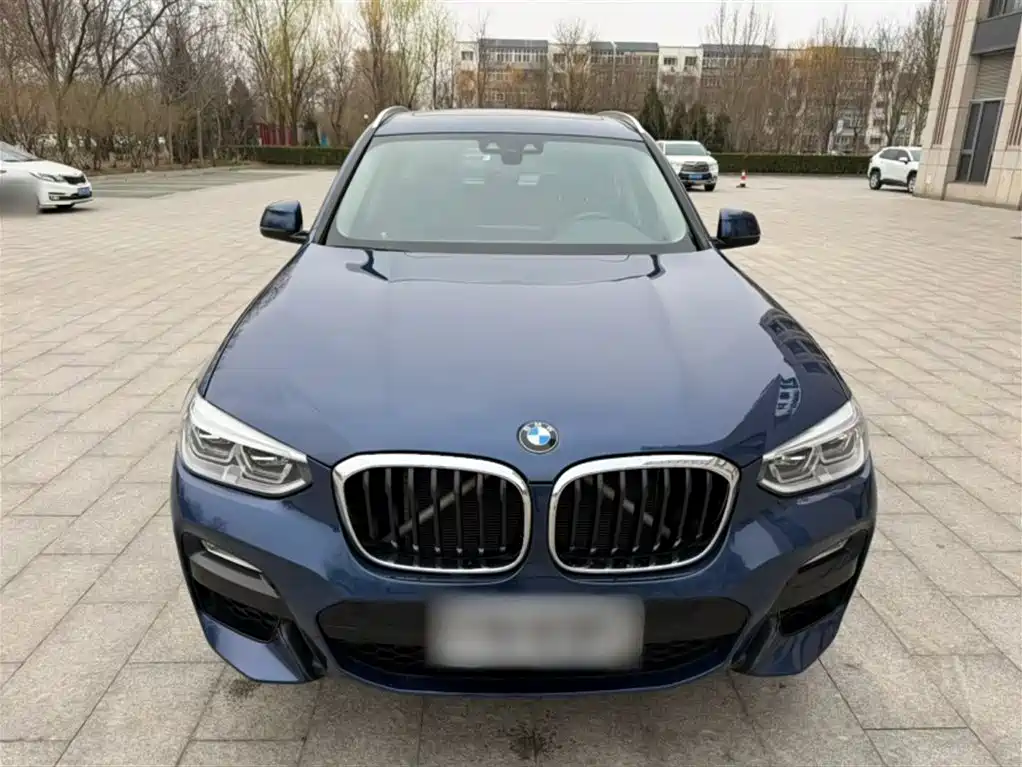 BMW X3 2018 xDrive25i M Sport Package China V фото 3