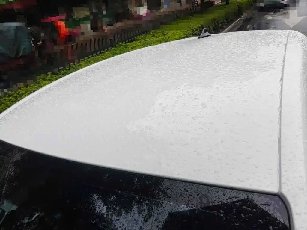 Roewe Kaiwei CLEVER 2023 2022 311km Vitality Bobo Edition
