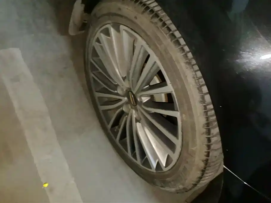 Hongqi H9 2020 2.0T Smart Connection Qi Xiang Edition фото 6