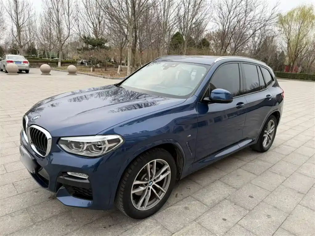 BMW X3 2018 xDrive25i M Sport Package China V фото 2