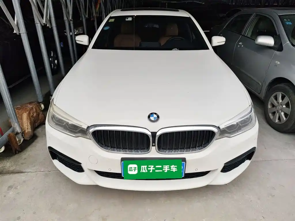 BMW 5 Series (Import) 2019 530i M Sport Package фото 3