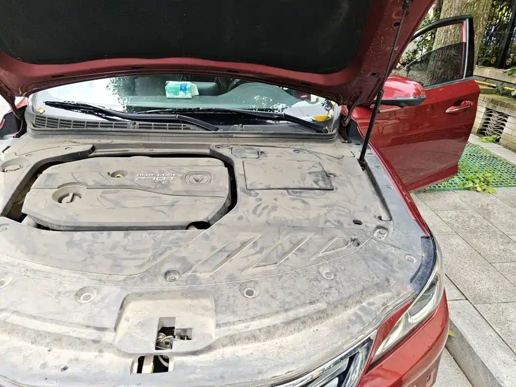 Changan Raeton CC 2018 2018 1.5T Auto Premium Class China V
