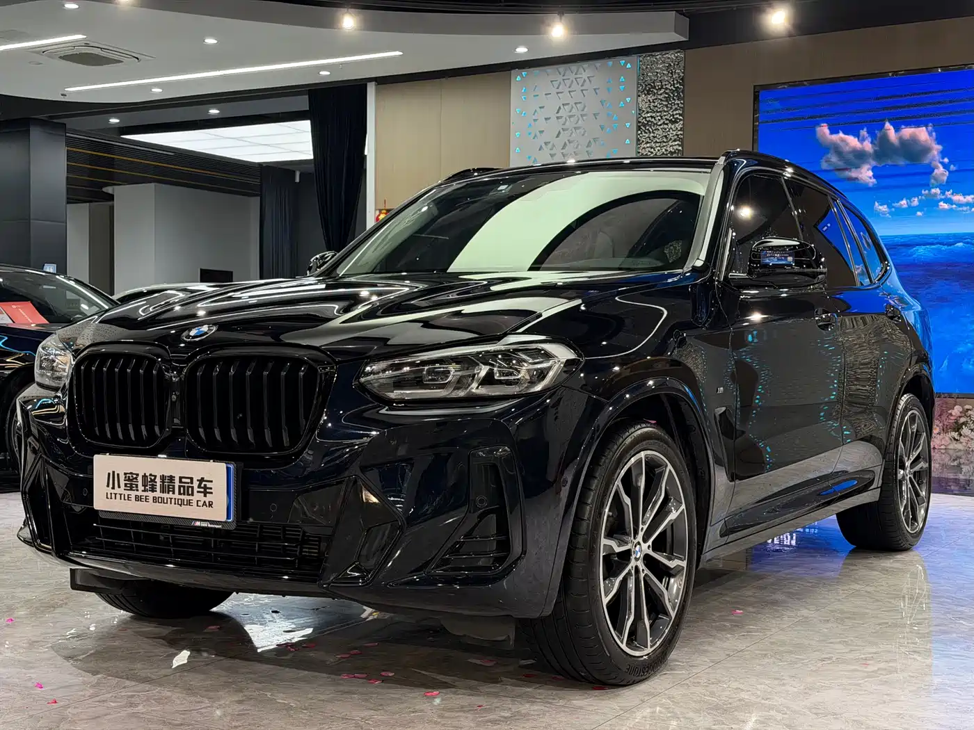 BMW X3 2023 xDrive30i Leading M Night Package