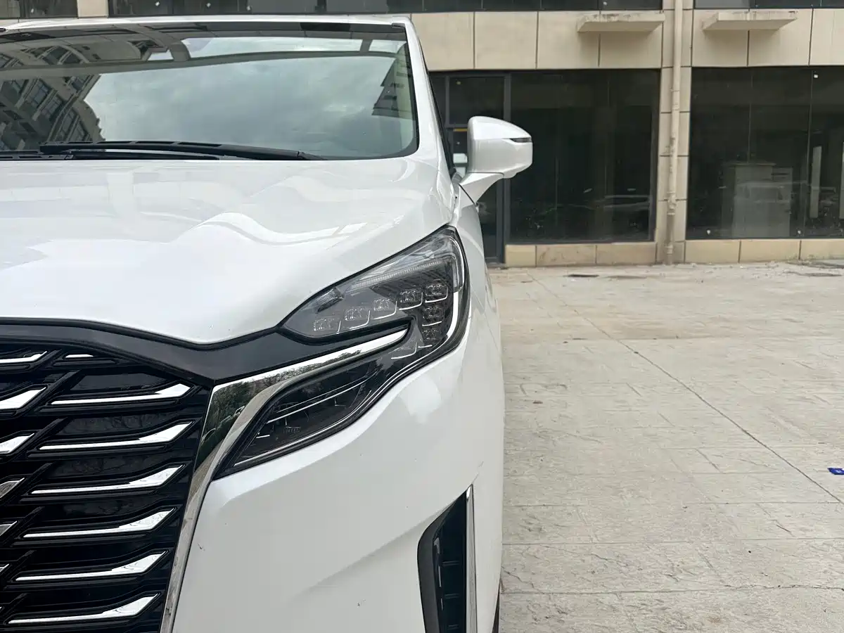 Buick GL8 2022 ES Landmark 653T Luxury фото 15
