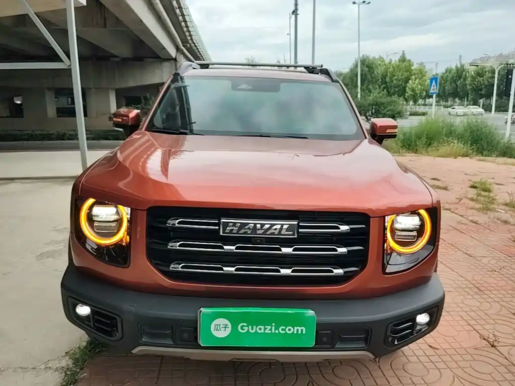 Фото 3 - Haval Dargo