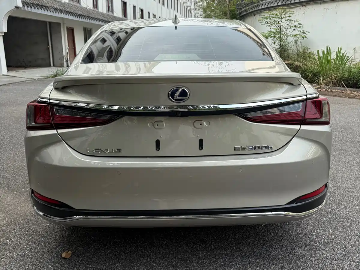 Lexus ES 2018 300h Executive Edition China V фото 10