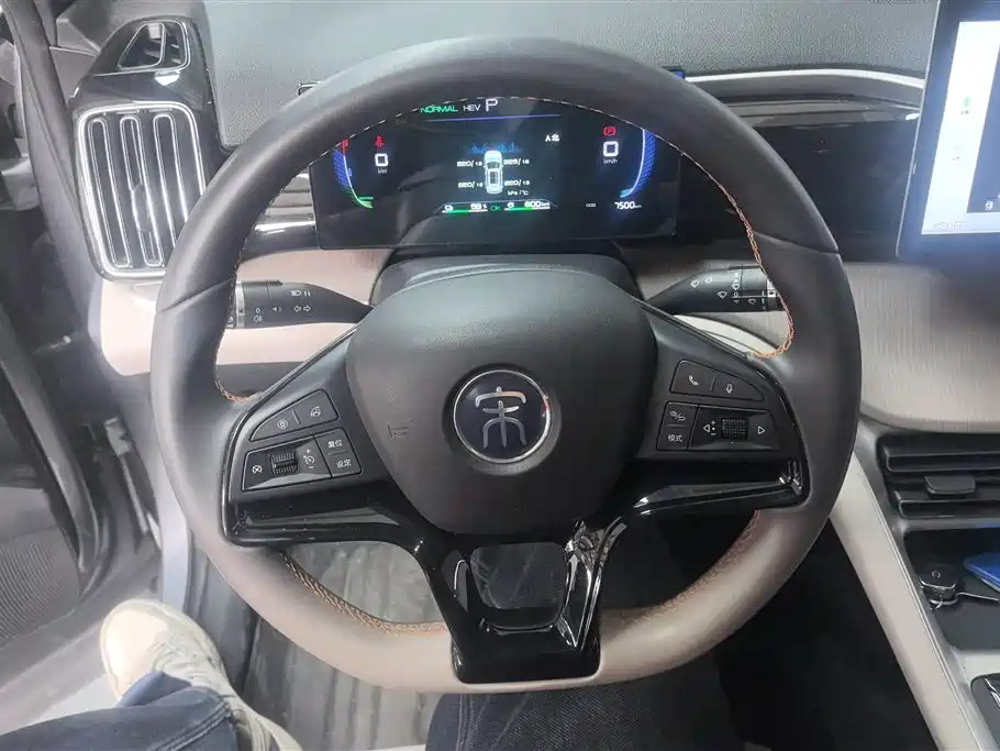 BYD SONGJIANG NEW ENERGY