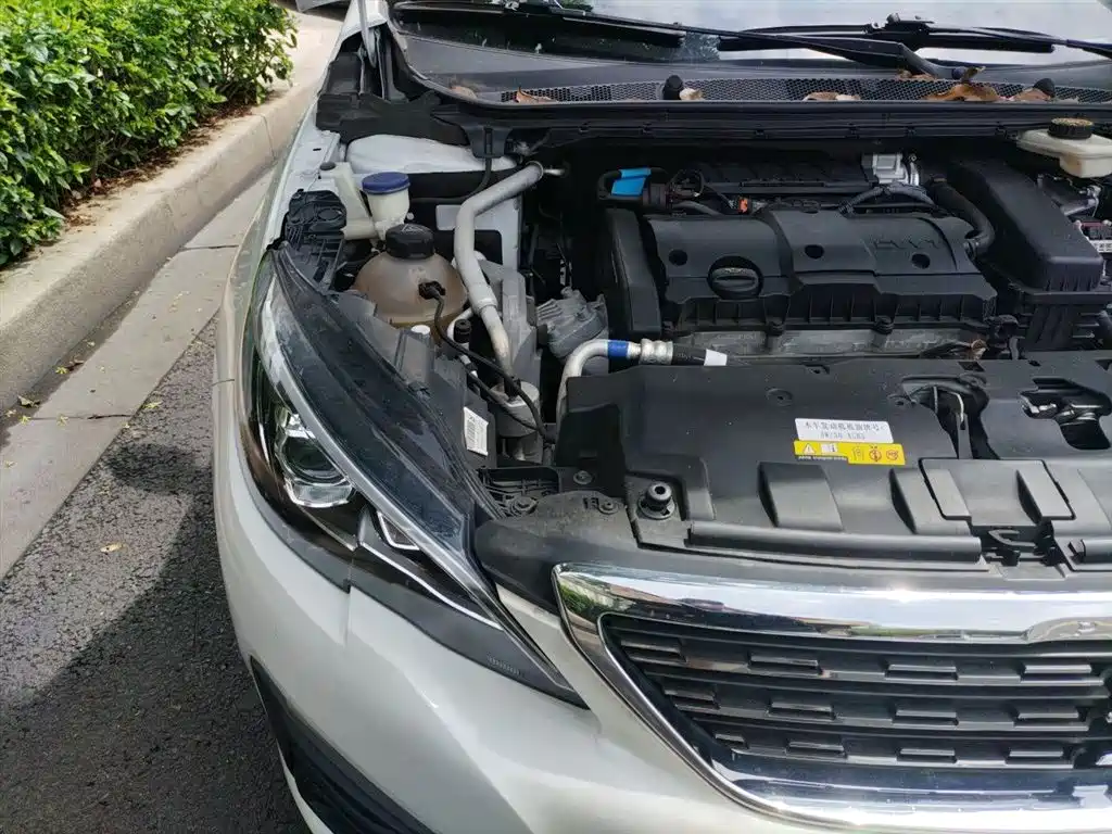 Peugeot 308 2018 1.6L Auto Luxury Edition фото 21