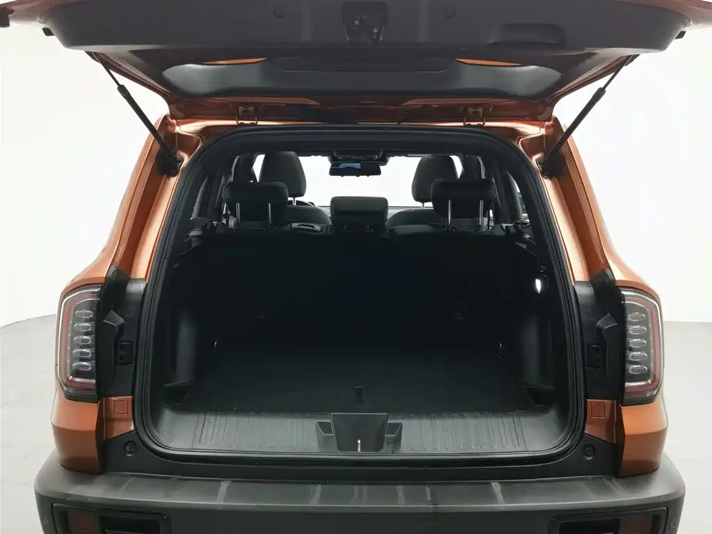Haval Big Dog 2021 1.5T DCT 2WD Border Collie - Wangcai Edition фото 16