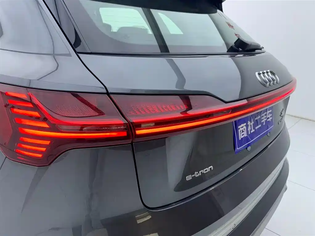 AUDI E TRON