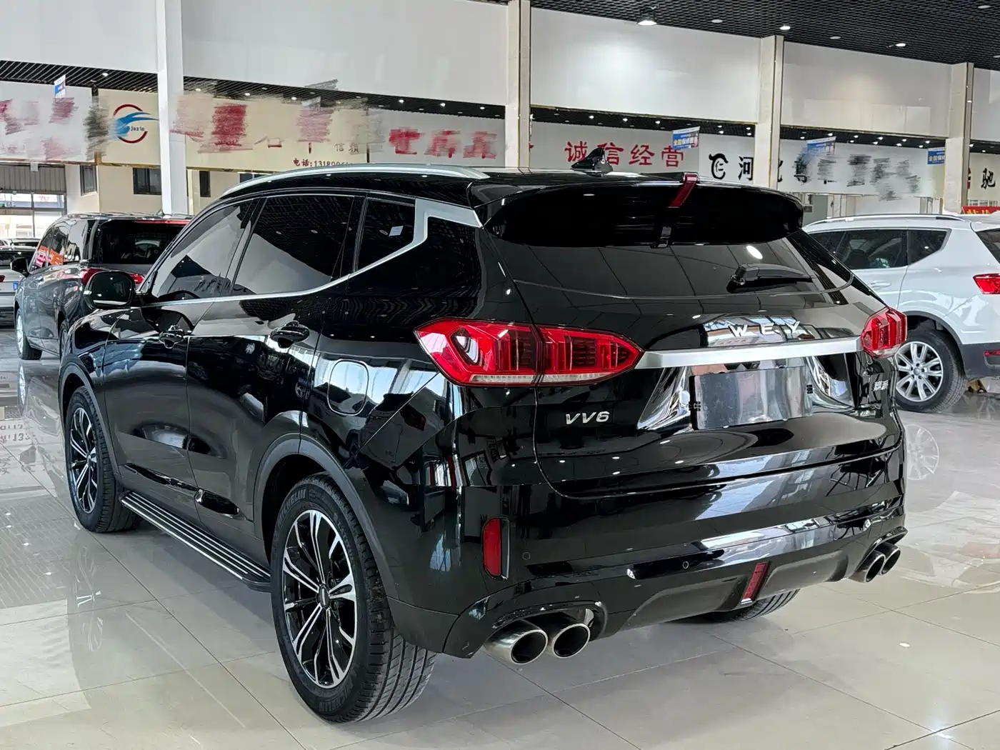 WEI PAI WEI BRAND VV6