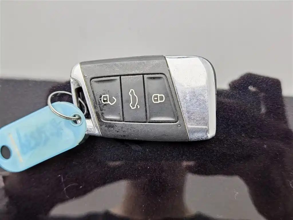 Volkswagen Passat New Energy 2020 430PHEV Hybrid Luxury (China VI) фото 19