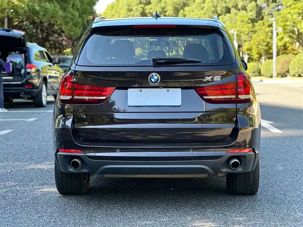 BMW X5 (Import) 2014 xDrive35i Leading фото 14