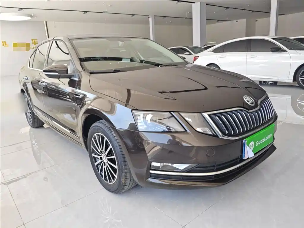 Škoda Octavia 2019 1.5L Automatic Smart Luxury Edition China V фото 4