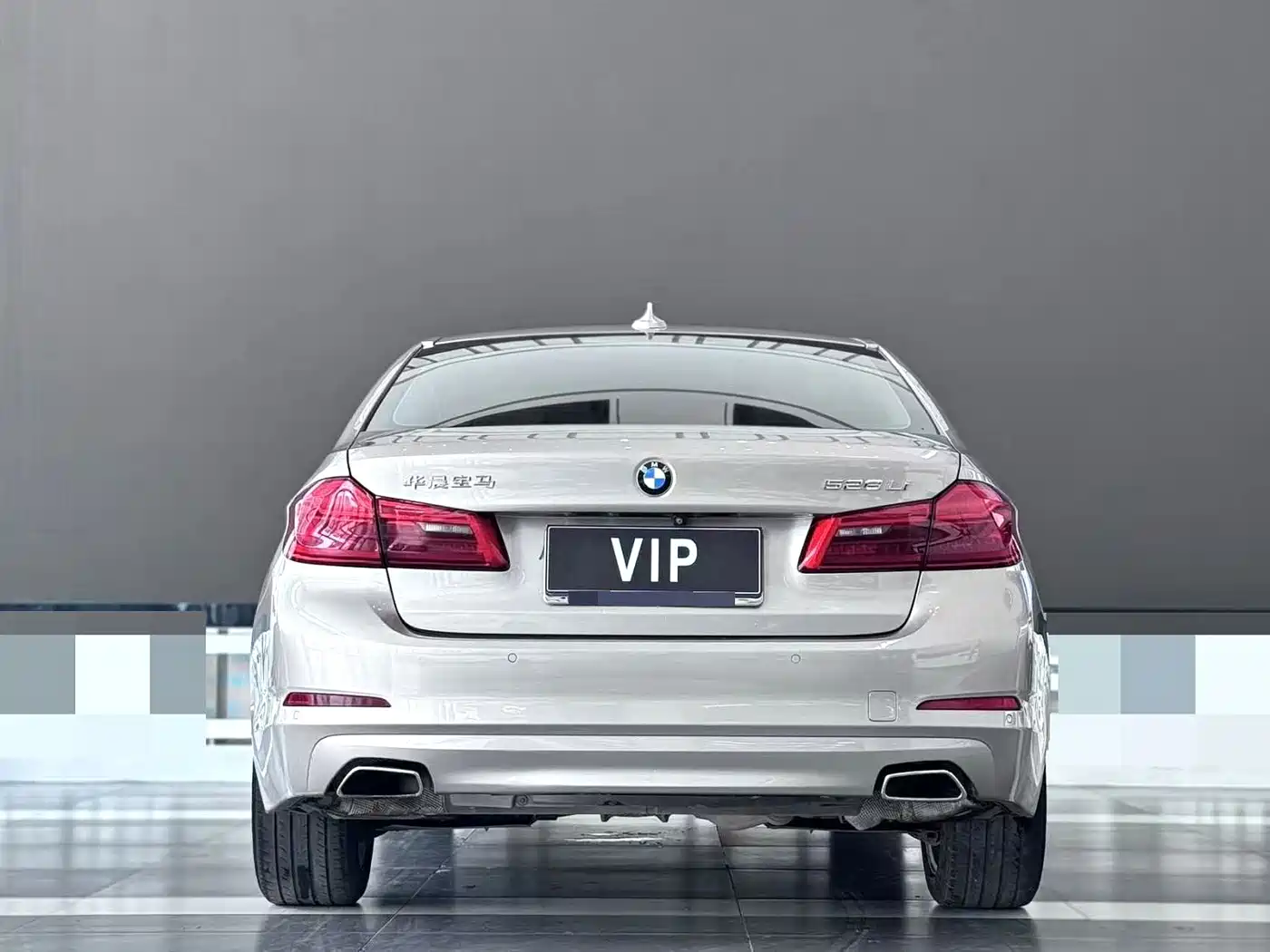 BMW 5 Series 2018 528Li Launch Special Edition фото 8