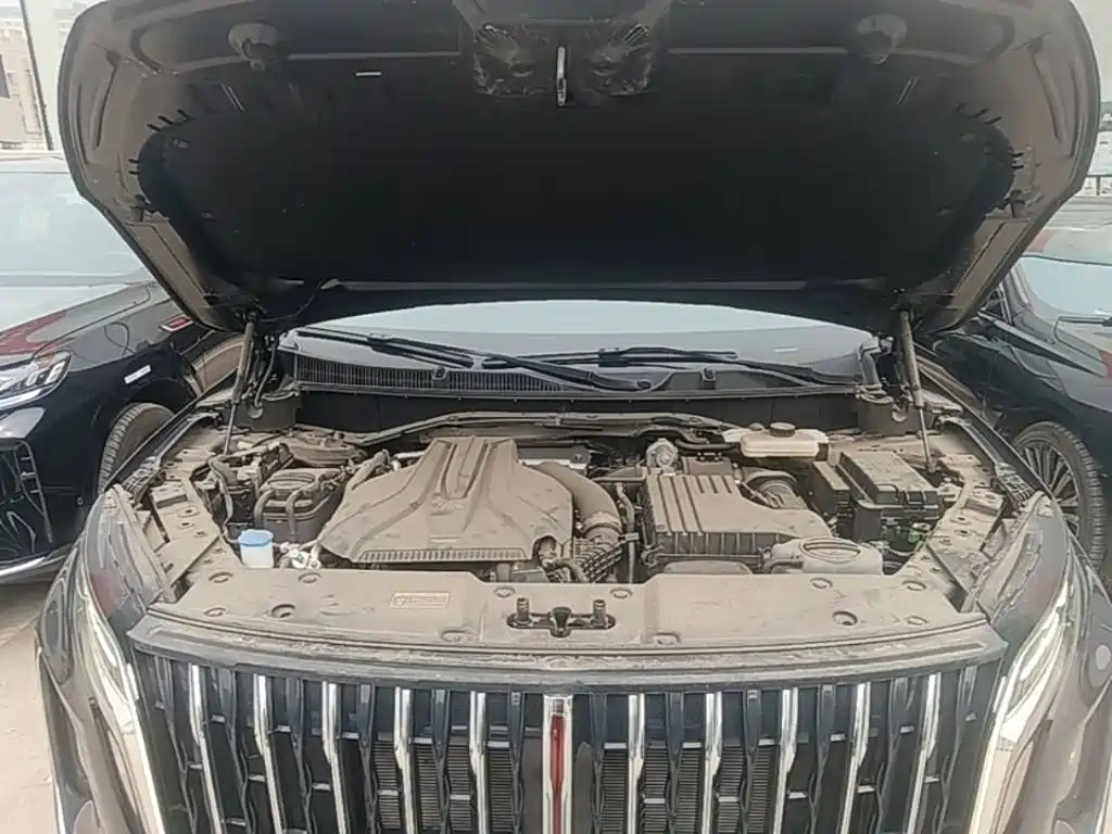 Photo 20 - Hongqi HS7 PHEV