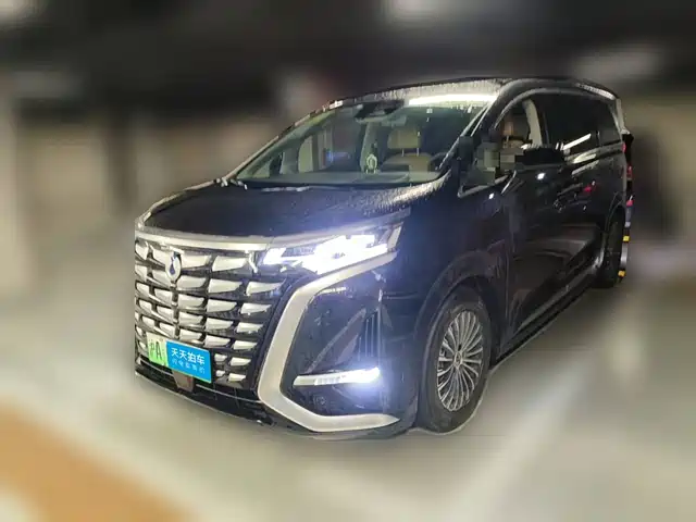 Denza D9 2022 DM-i 970 All-Wheel Drive Honor Edition — фото 1
