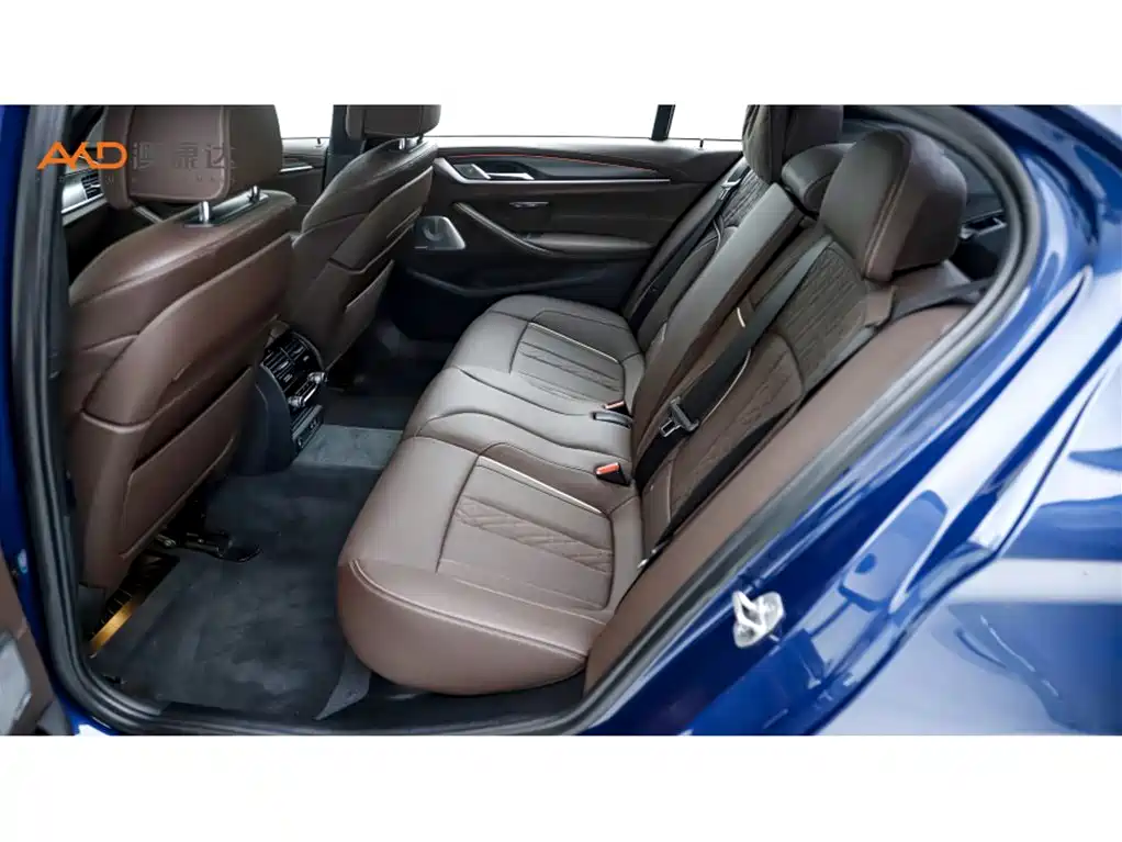 BMW 5 Series 2021 Facelift 530Li Executive M Sport Package фото 7