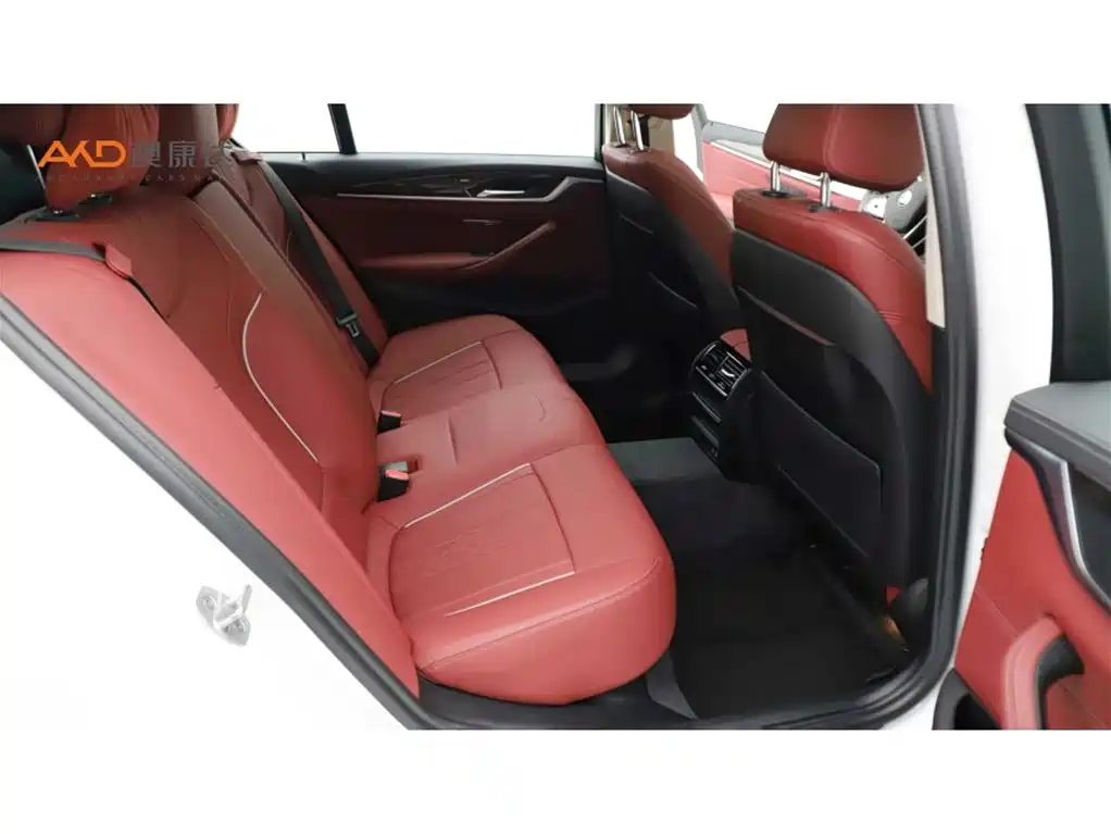 BMW 5 Series 2021 525Li Luxury Package фото 8