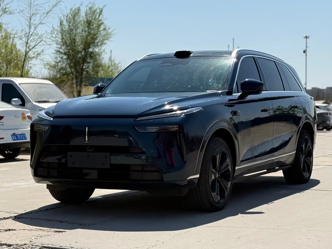 WEI PAI WEI BRAND BLUE MOUNTAIN