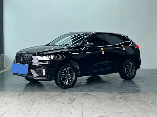 WEI PAI WEI BRAND VV5