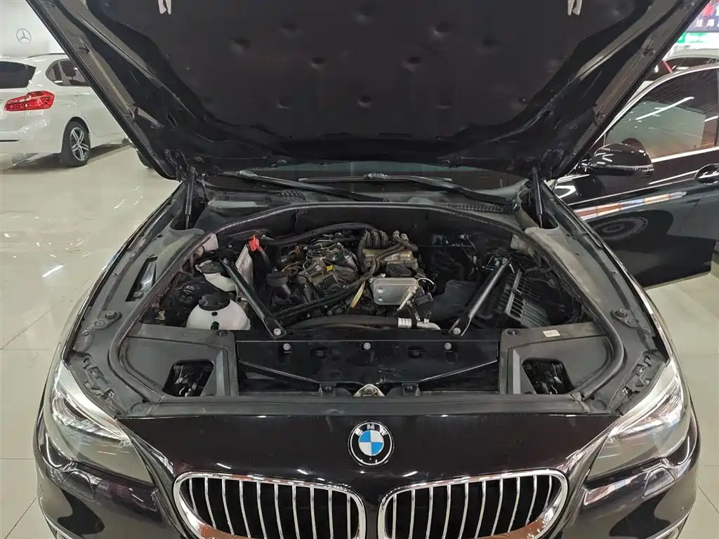 BMW 5 Series 2017 525Li Luxury Design Package фото 16