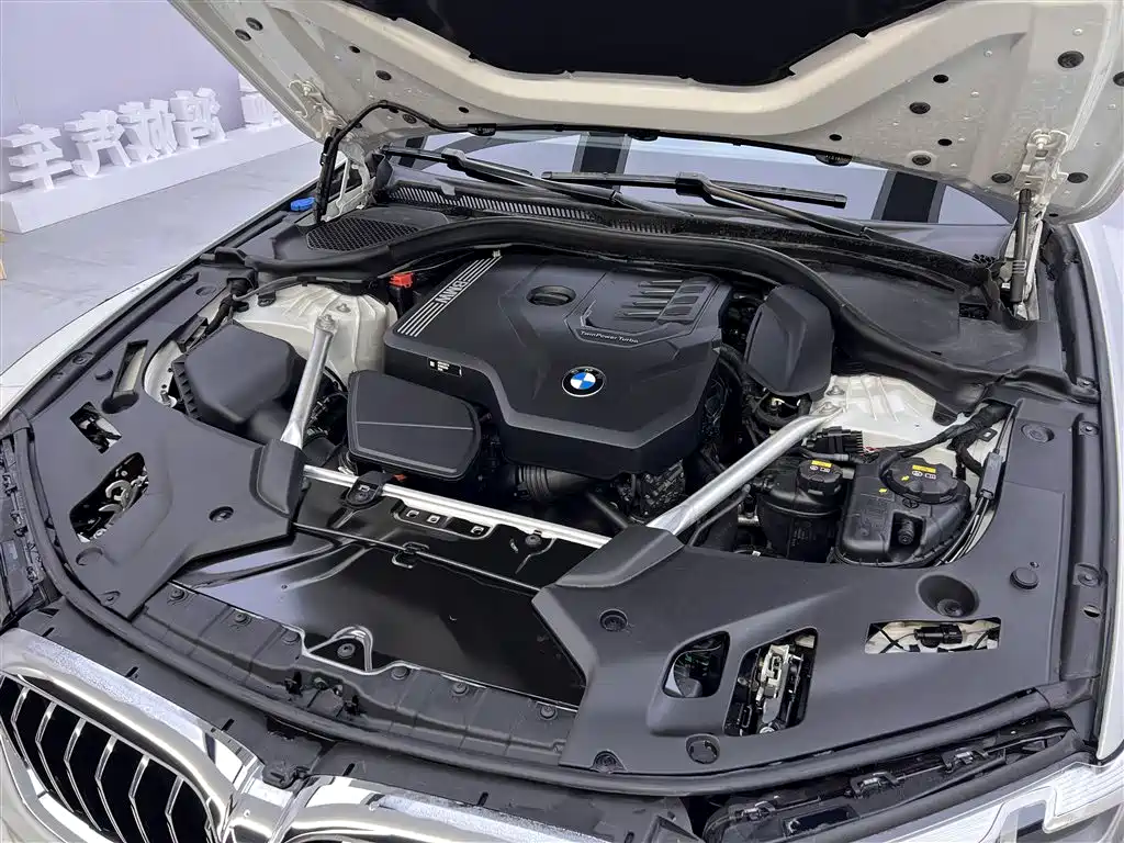 BMW 5 Series 2022 530Li Leading Luxury Package фото 12