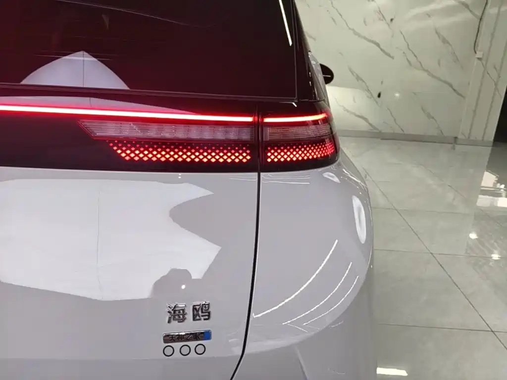 BYD Seagull 2026 2025 Smart Drive Edition 305km Freedom Version