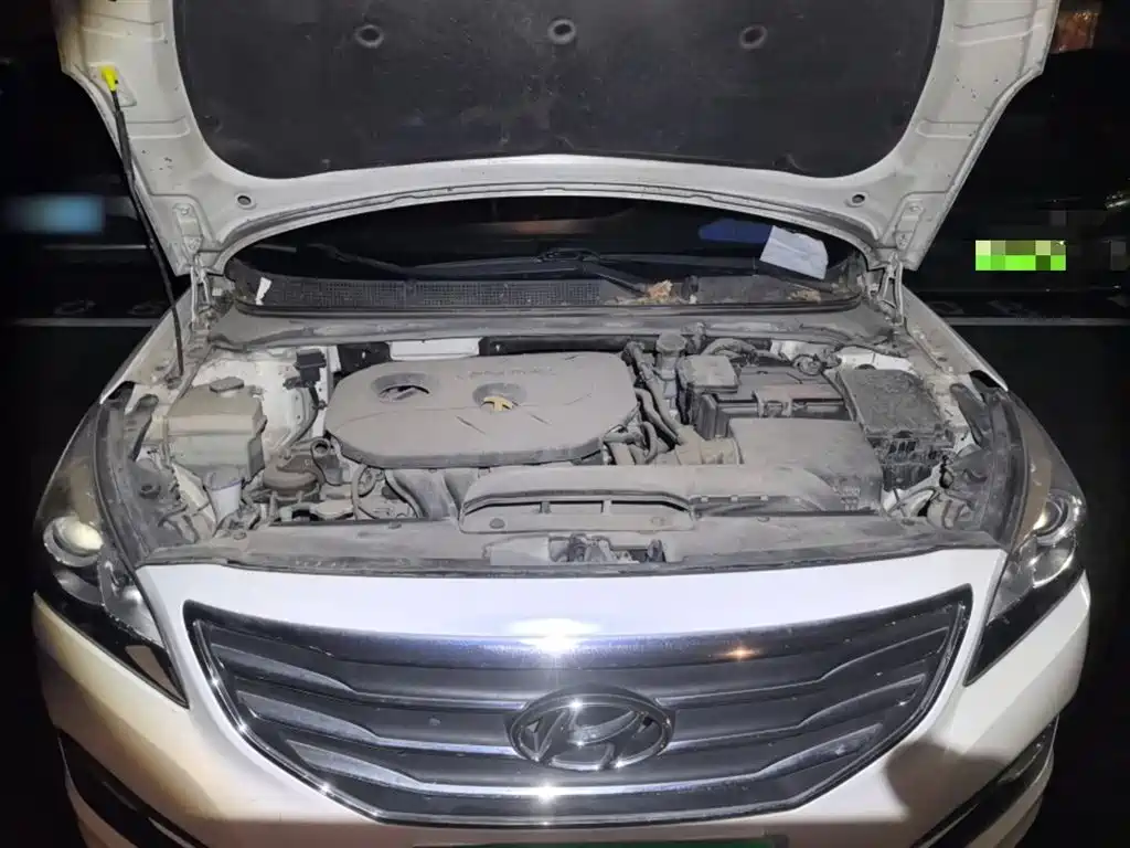 Hyundai Mistra 2014 1.8L Auto Premium DLX фото 11