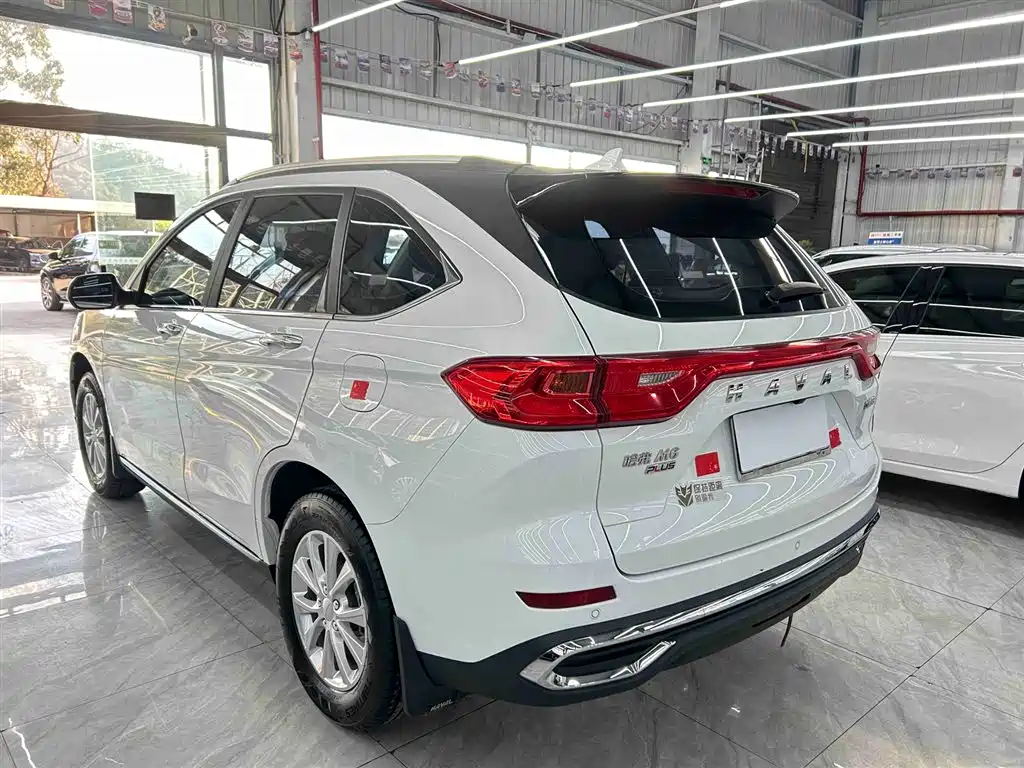 HAVAL M6
