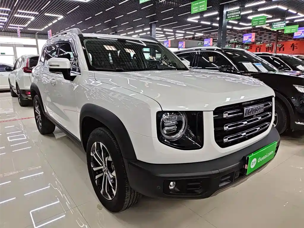 Haval Big Dog 2022 1.5T DCT FWD Border Collie Edition фото 4