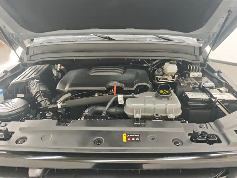 Tank 300 2024 Model 2.0T Challenger фото 10