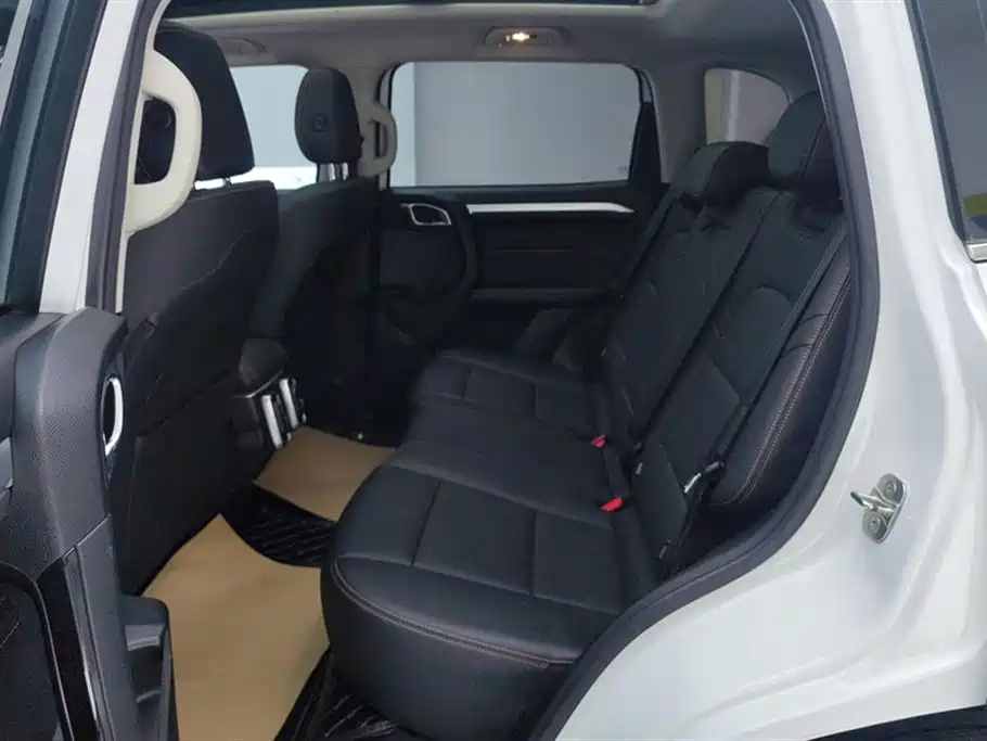Haval Big Dog 2021 1.5T DCT 2WD Border Collie Edition фото 11