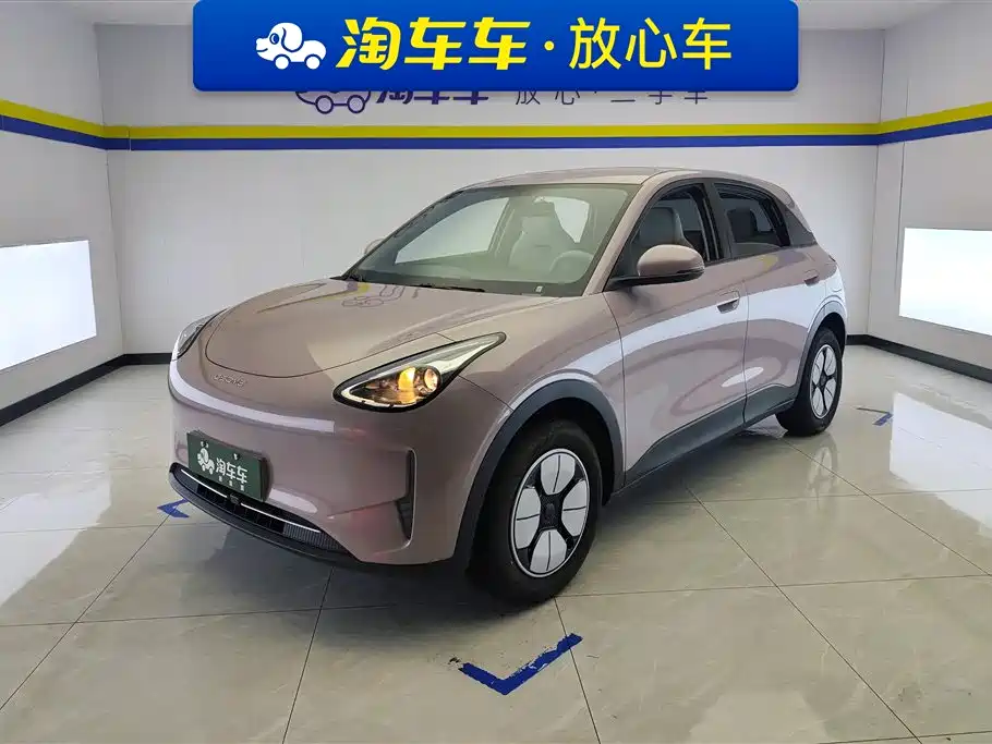 Geely Galaxy Starry Wish 2025 310km Youth Edition