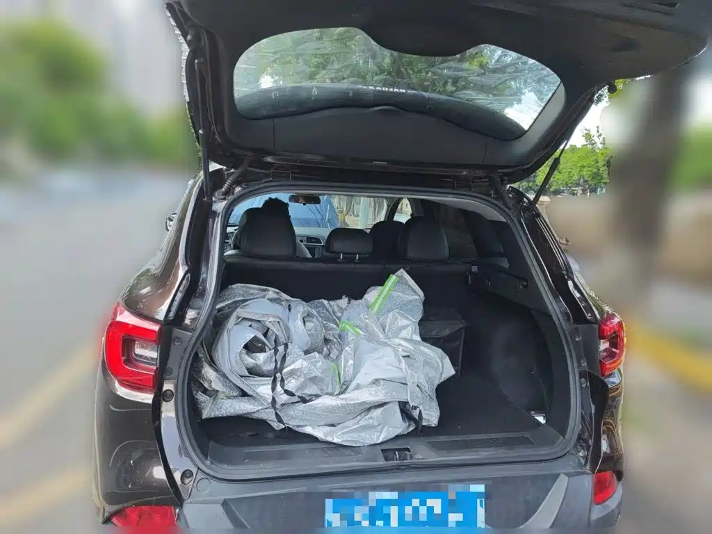 Renault Kadjar 2017 2016 2.0L 2WD Luxury Edition