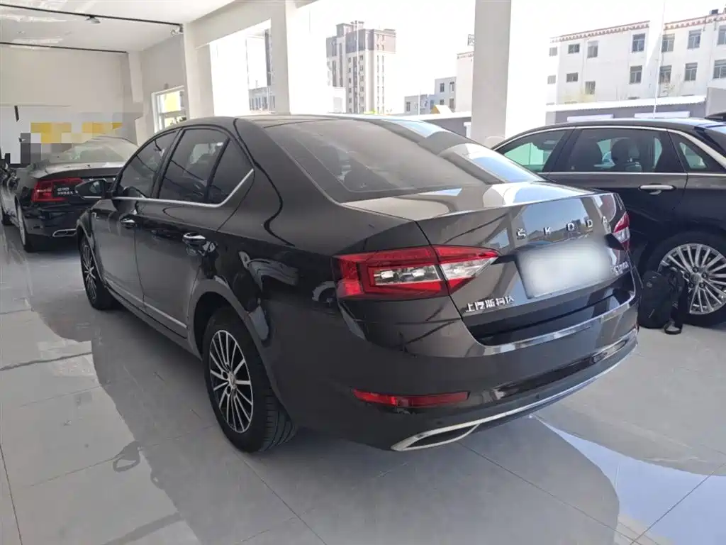 Škoda Octavia 2019 1.5L Automatic Smart Luxury Edition China V фото 5
