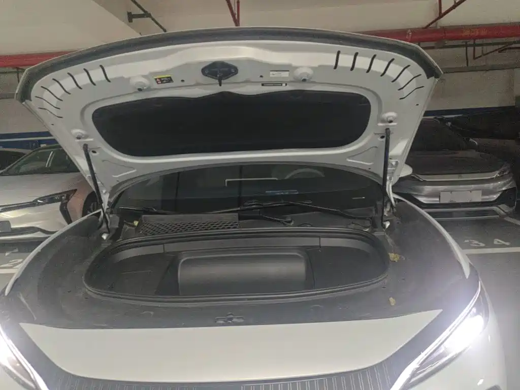 BYD Song L EV 2024 2024 550km Surpassing Type