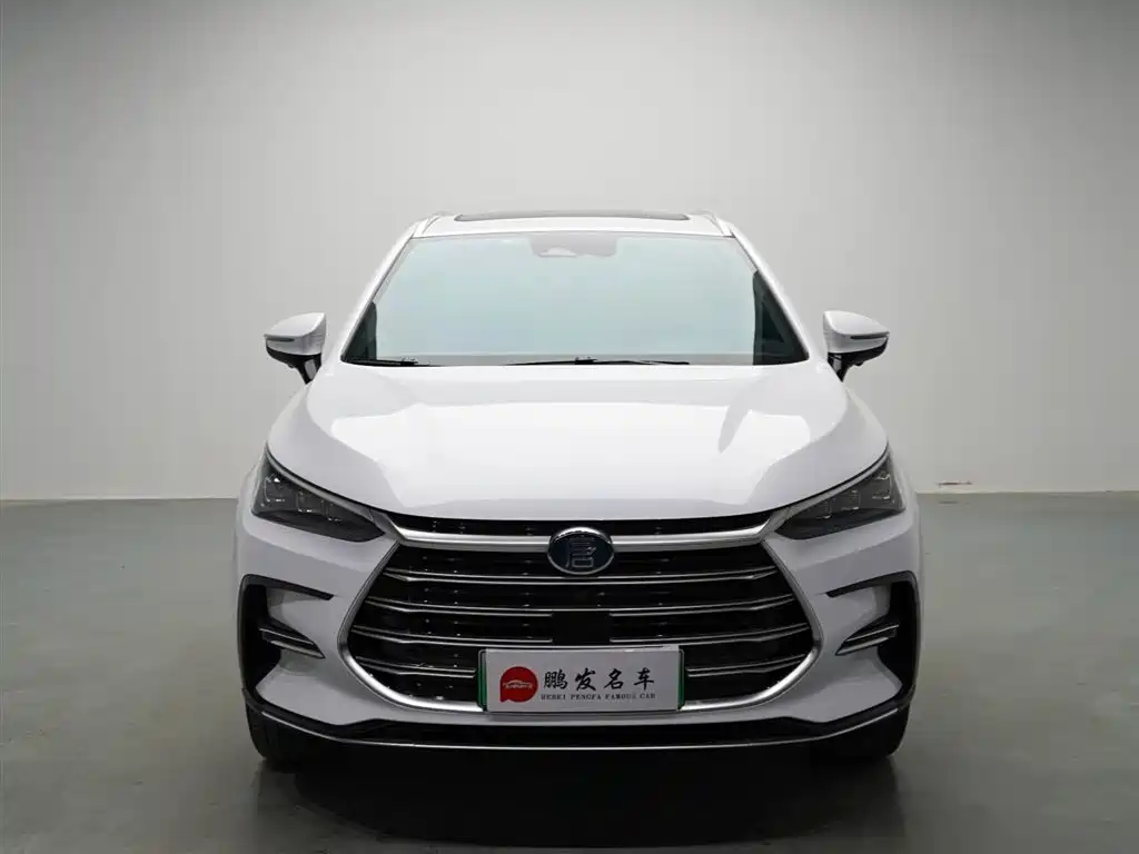 BYD Tang New Energy 2021 DM-i 112KM Premium фото 2