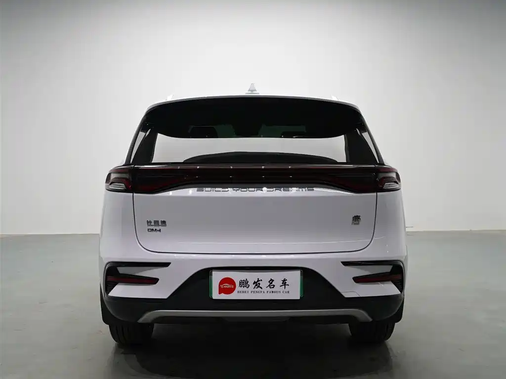 BYD Tang New Energy 2021 DM-i 112KM Premium фото 16