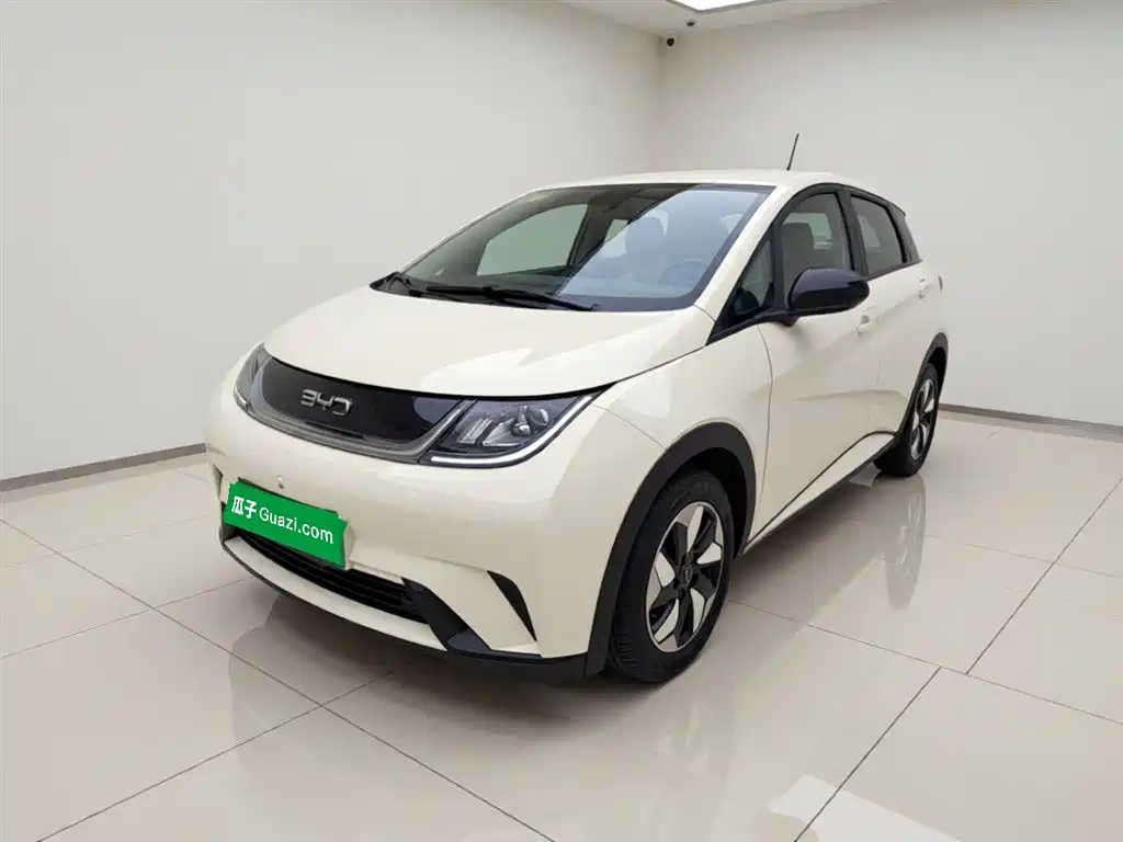 BYD Dolphin 2025 420km Freedom Edition