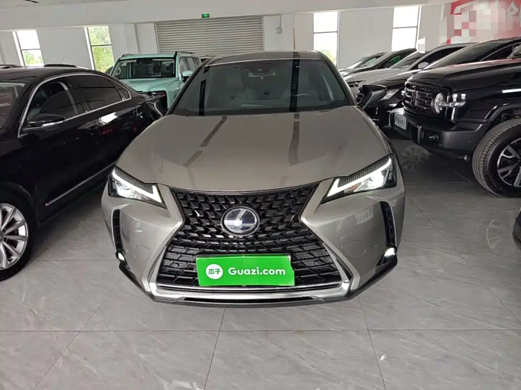 Lexus UX 2020 2020 260h Explore Fun Edition