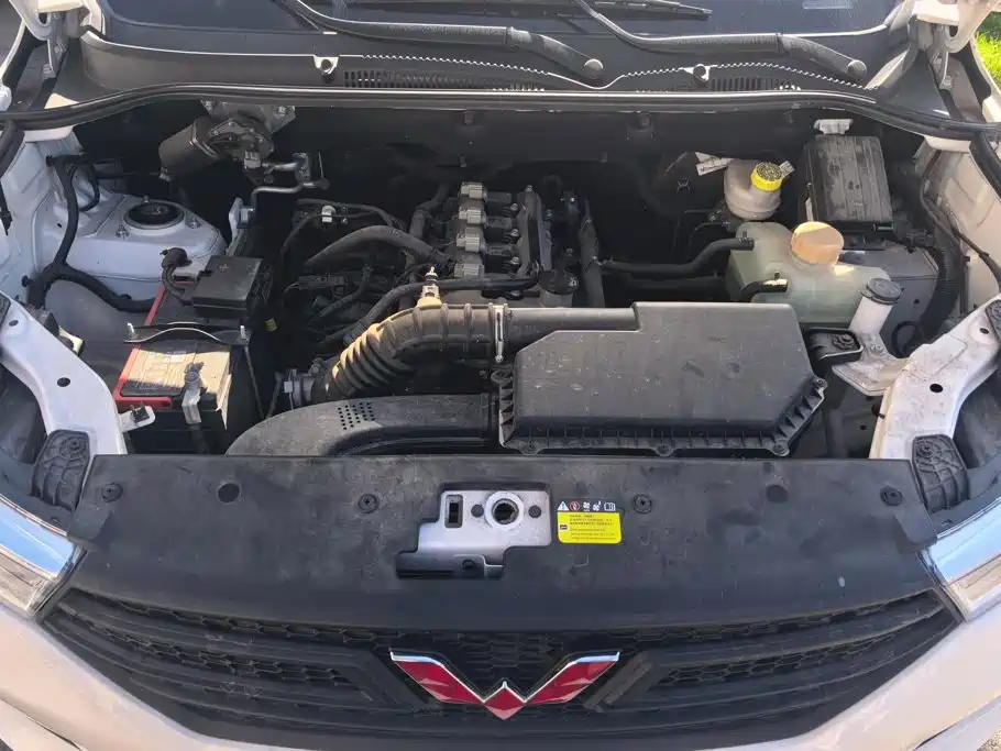 Wuling Motors Wuling Hongguang 2026 2021 1.5L S Basic LAR