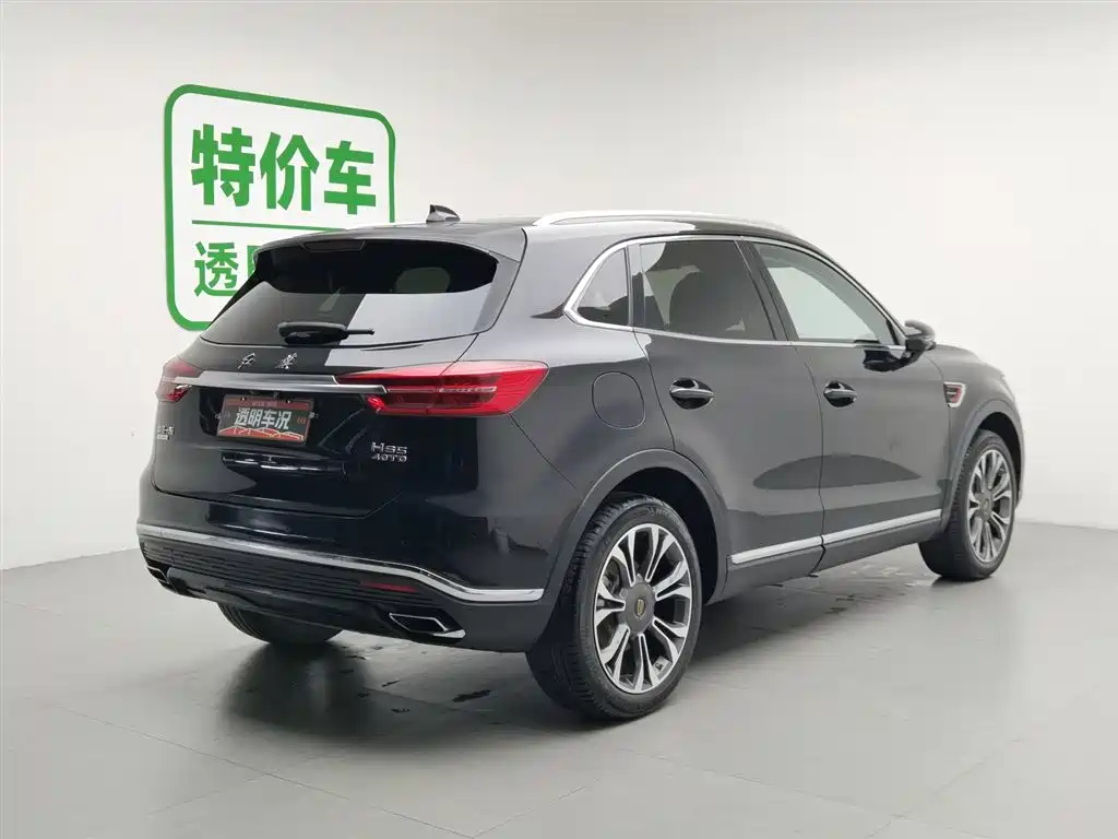 Hongqi HS5 2019 2.0T Smart Connect Enjoy 4WD Edition фото 2