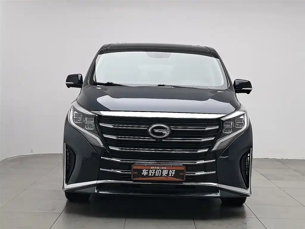 GAC Trumpchi Trumpchi M8 2021 Leading Show Series 390T Ultimate Edition фото 3