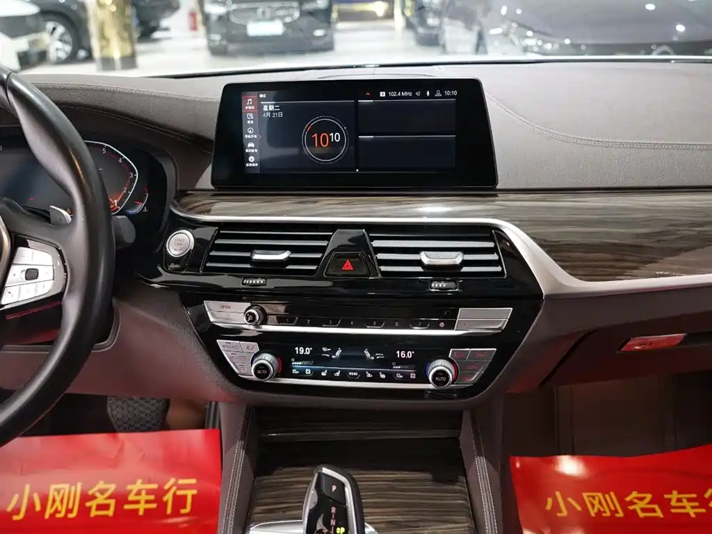 BMW 5 Series 2020 530Li Premium Luxury Package фото 10