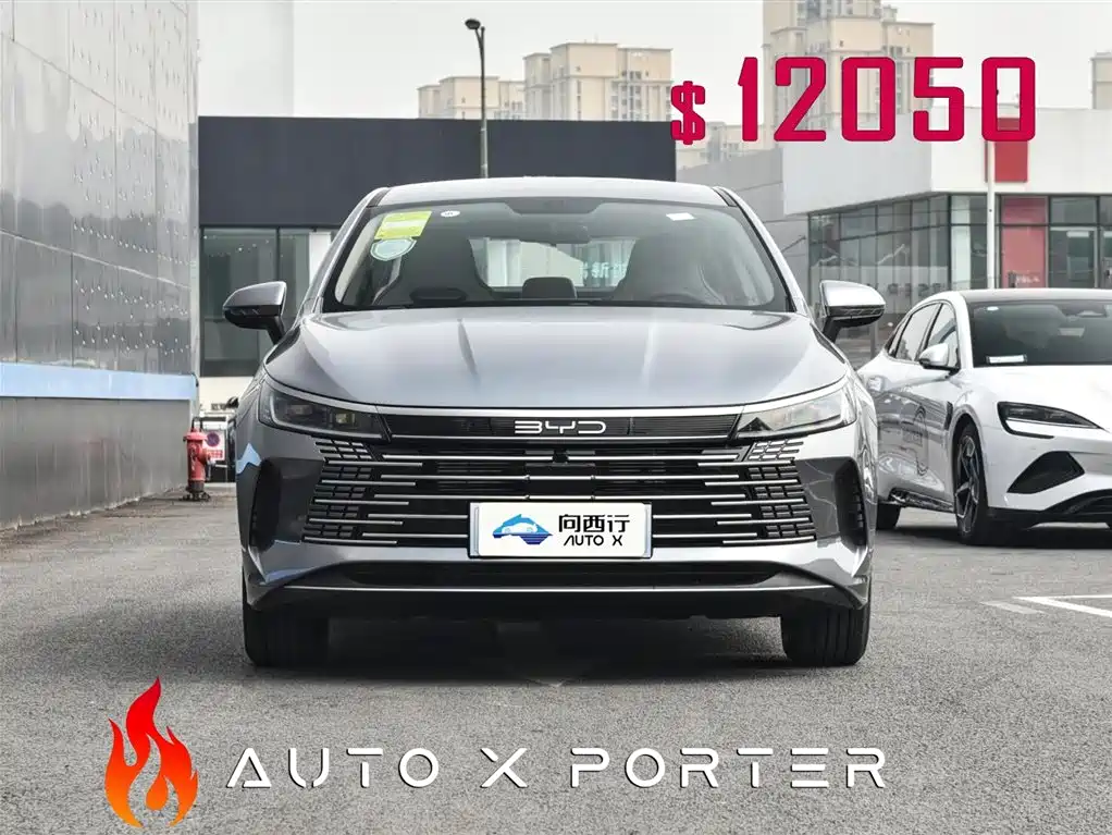 BYD Destroyer 05 2024 Glory Edition DM-i 55KM Luxury фото 2