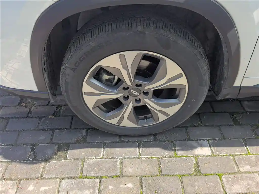 Chery Tiggo 8 PRO EV 2024 2023 Champion Edition 1.5T 100km King Edition